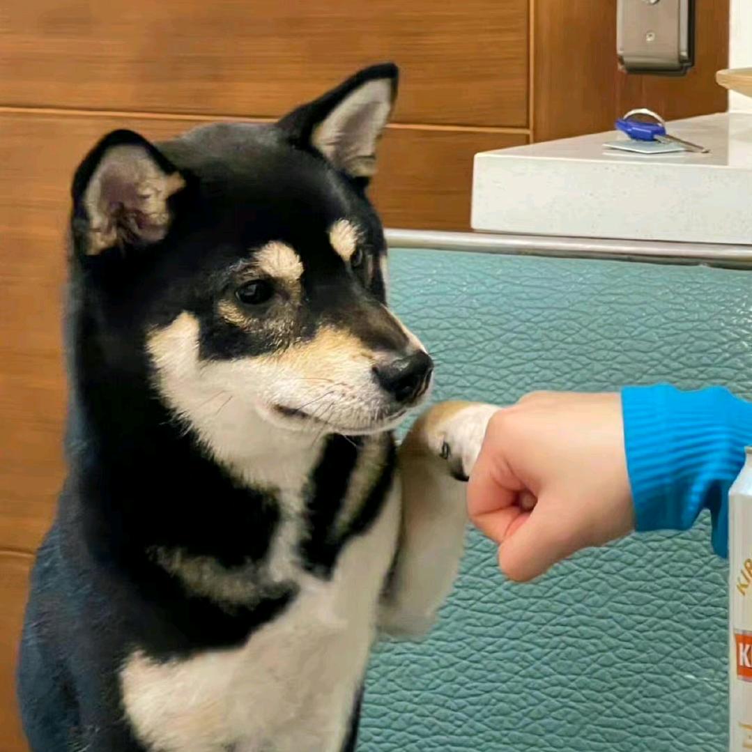 不讲道理
