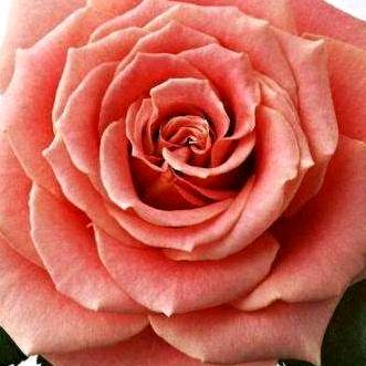 我爱我家💪💪🍒🍒