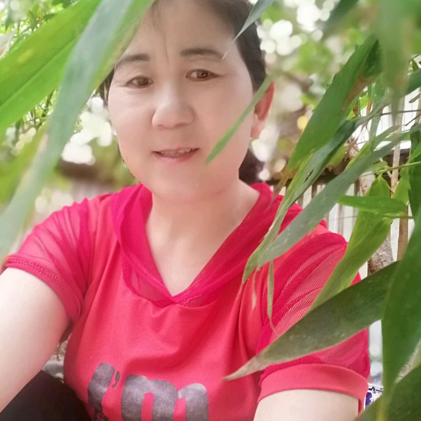 余生不烦