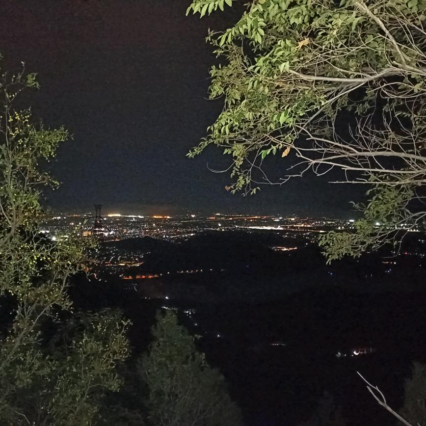 ꕥ᭄🐒菜心有粥ꦿঞ