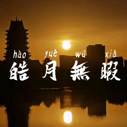 皓月无暇