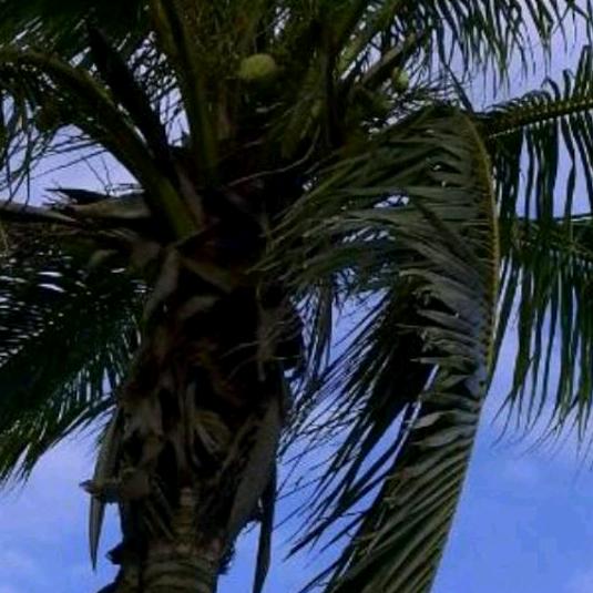 大黄集团承接水电弱电安装