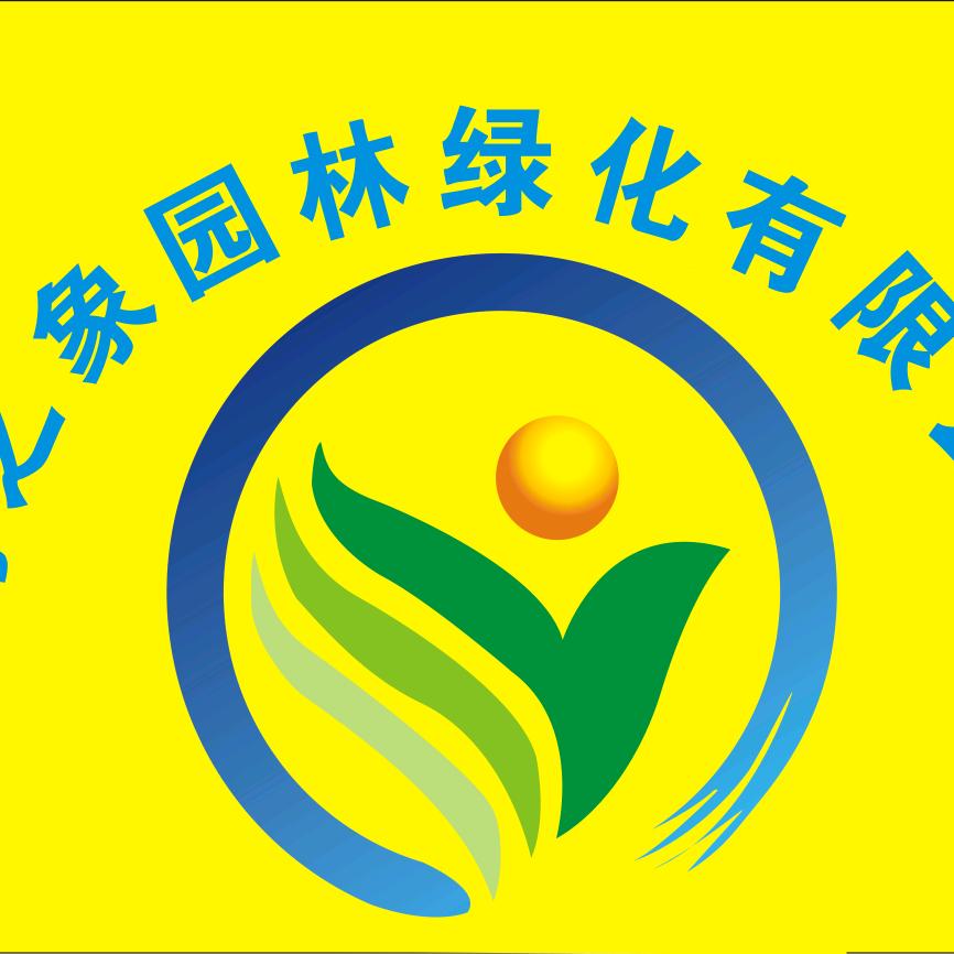 陈建聪
