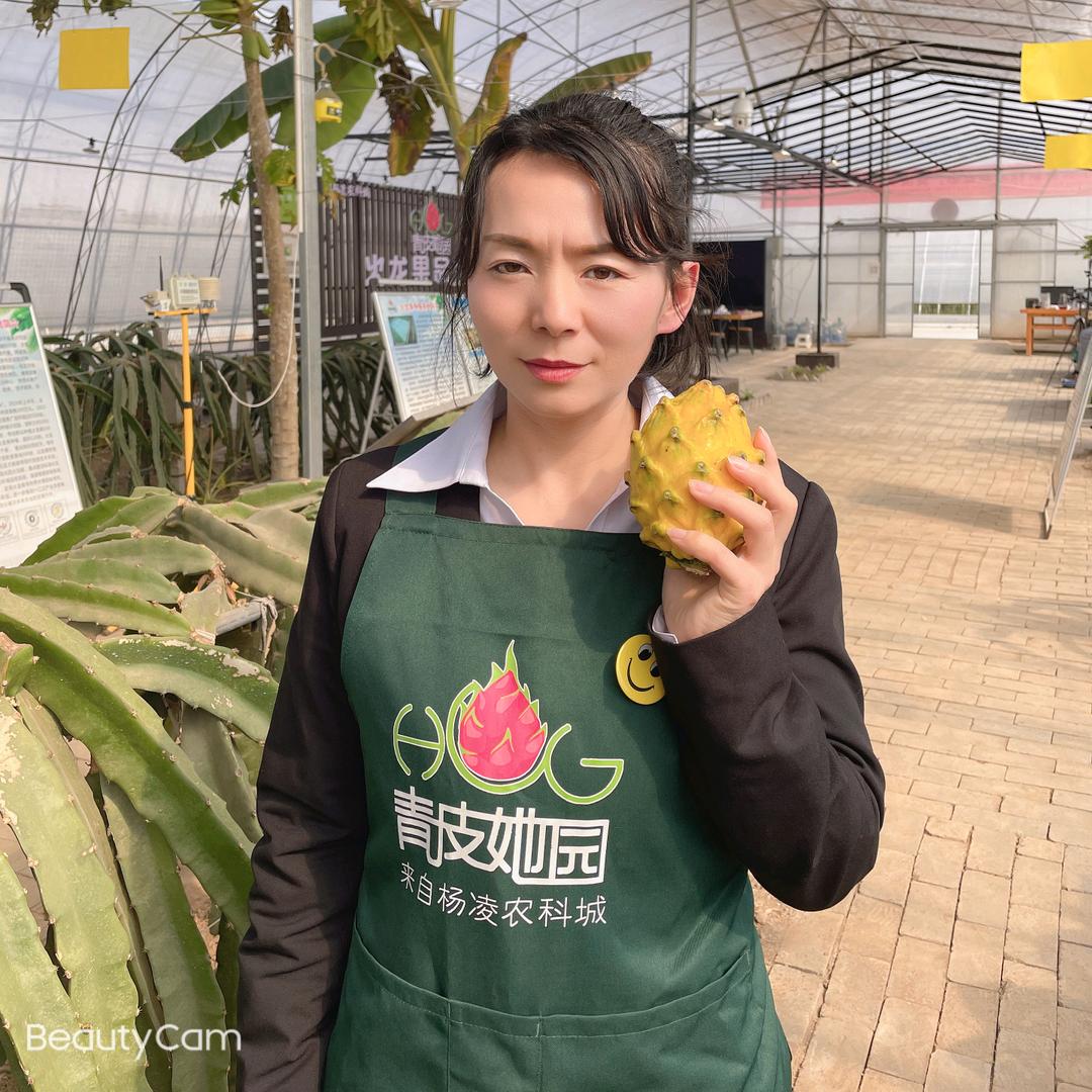 青皮她园火龙果小郭