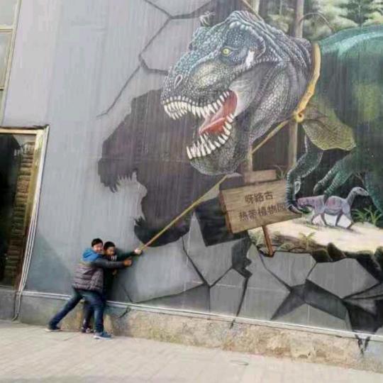 世飞的鸟
