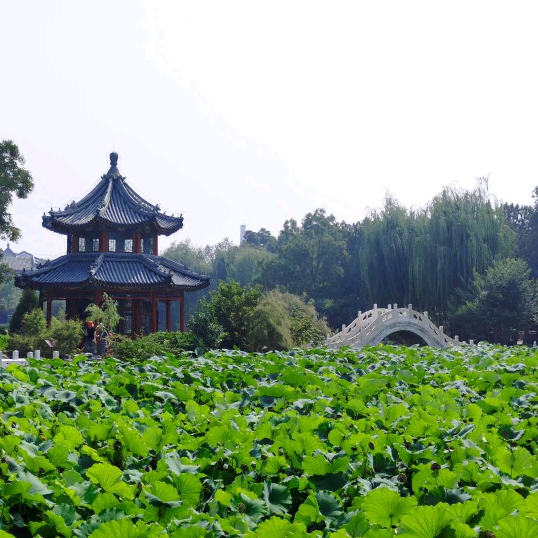 踽踽独行 茕茕孑立