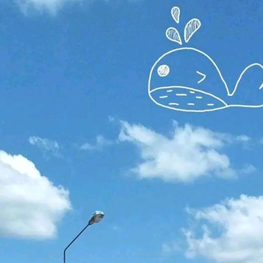 议之