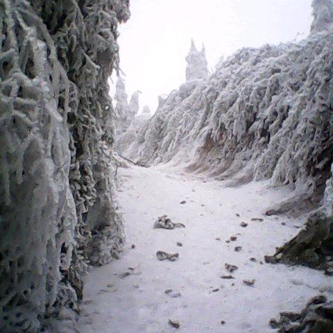 与你守一生的日落