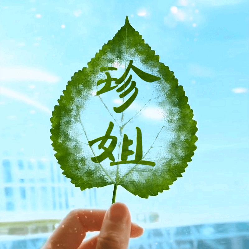 啊 真