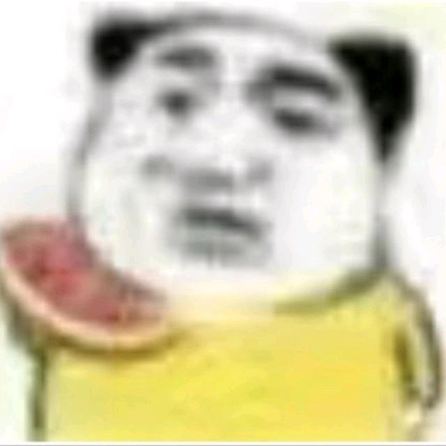 一只大鑫猪OuO