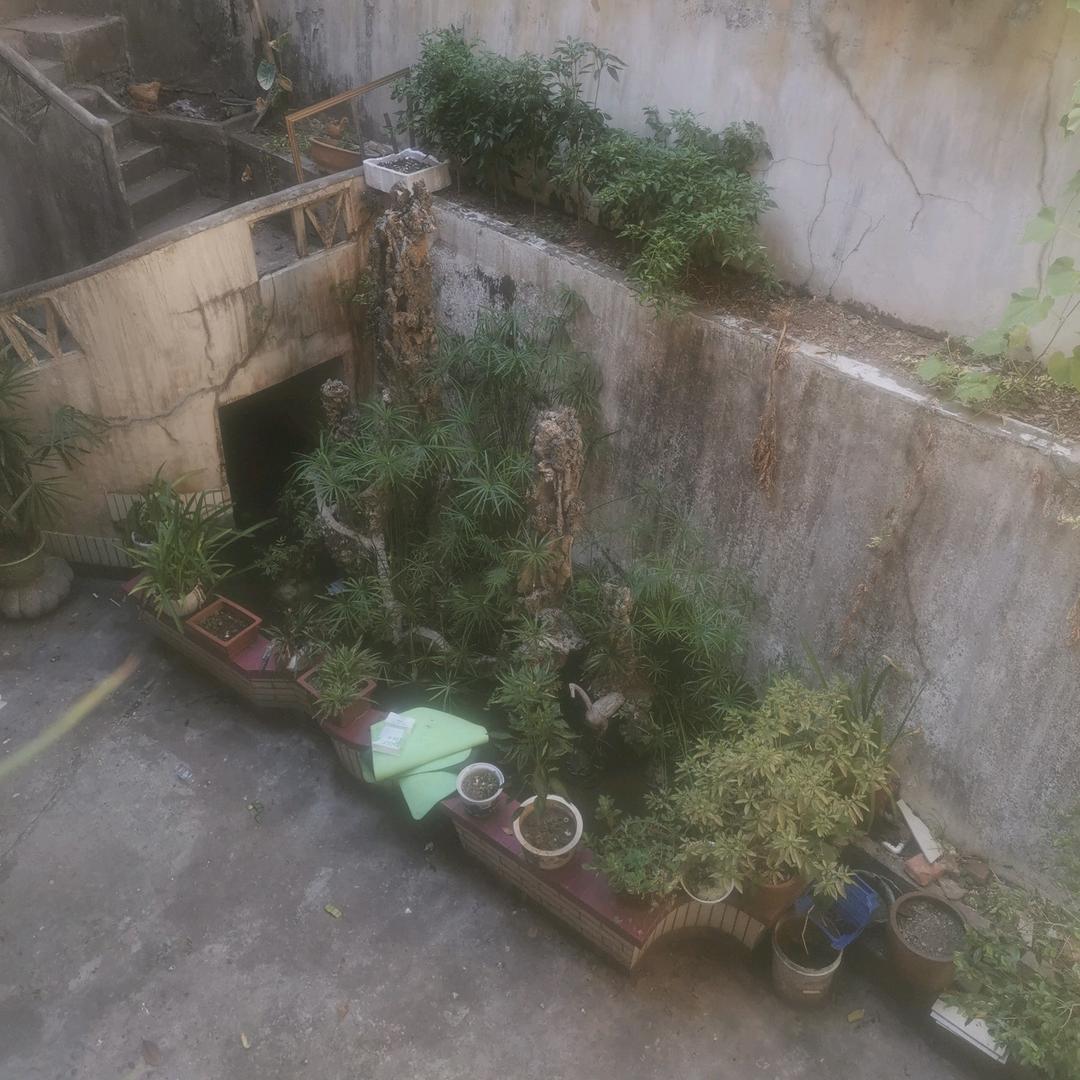 雷未清