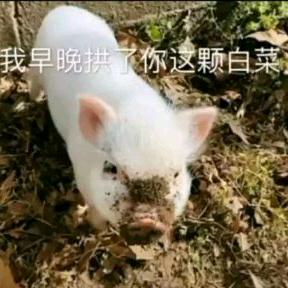纸捻