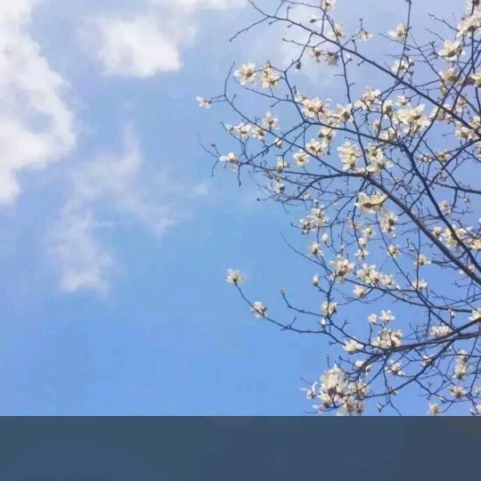 老代