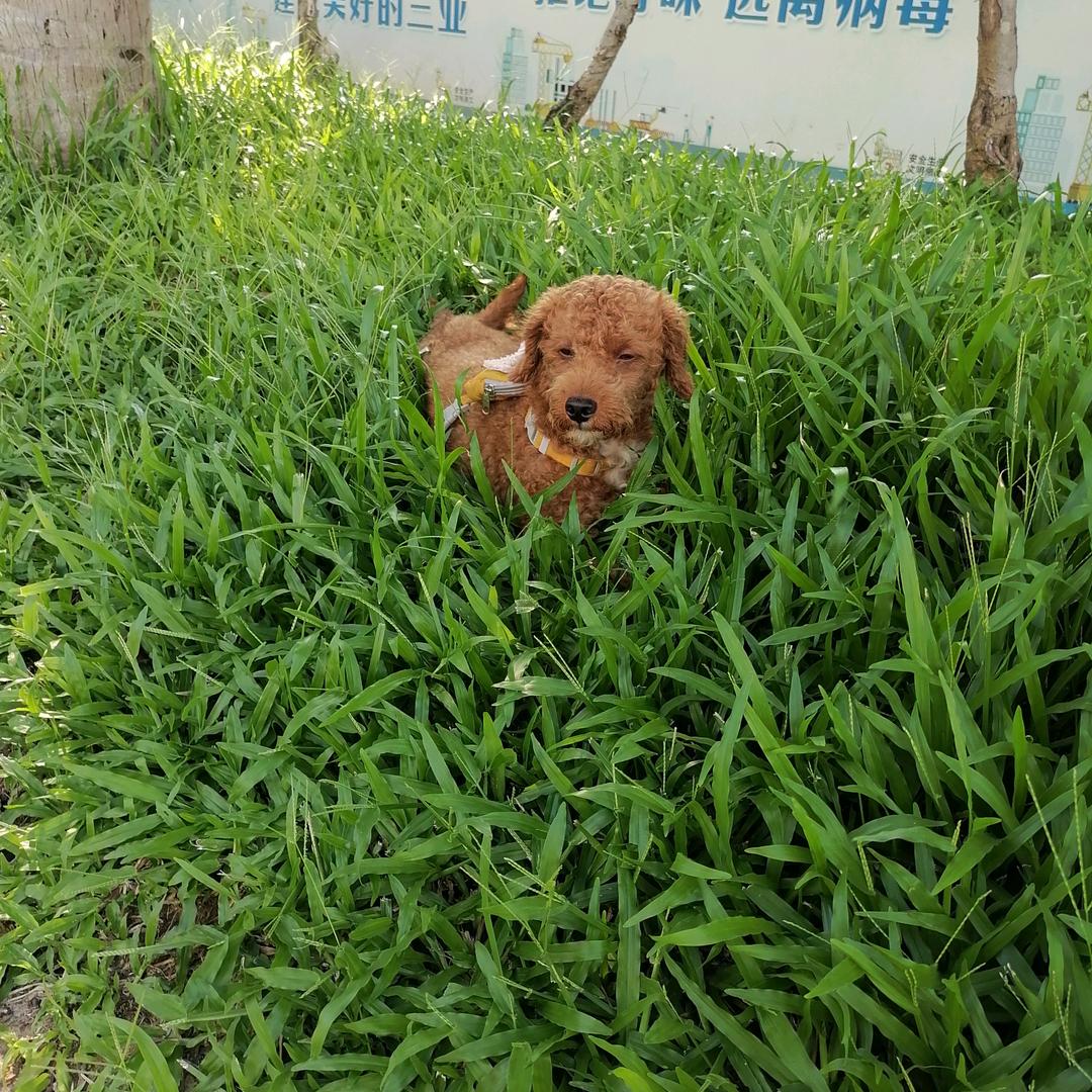徐小全