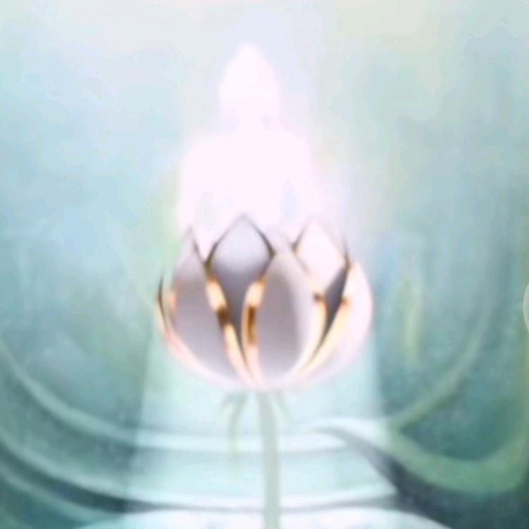 曦阳
