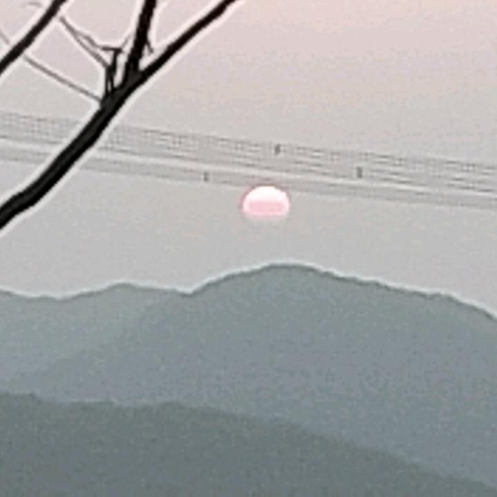 勇哥学习99项技能