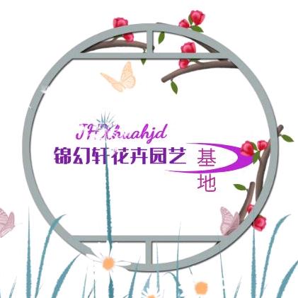锦幻轩园艺