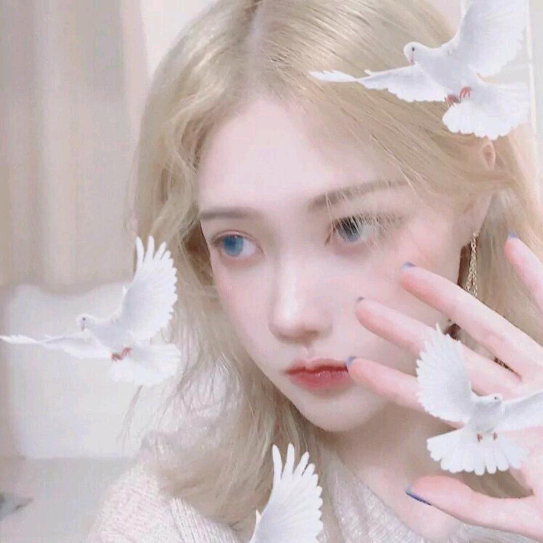 橙子🍊
