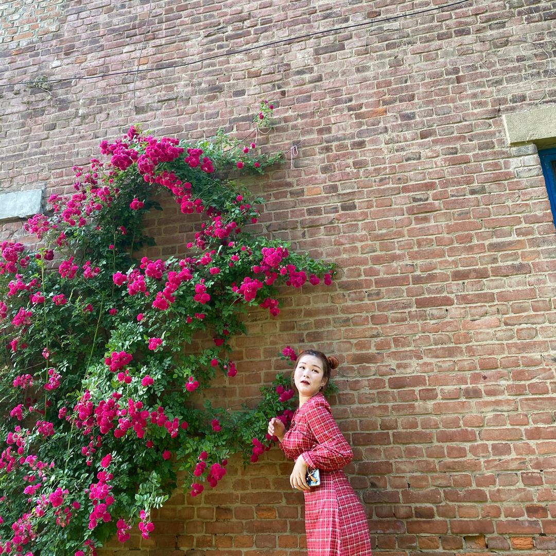 小淇小淇圆咕隆咚