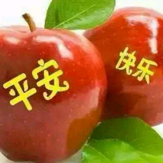 用户3636062133417
