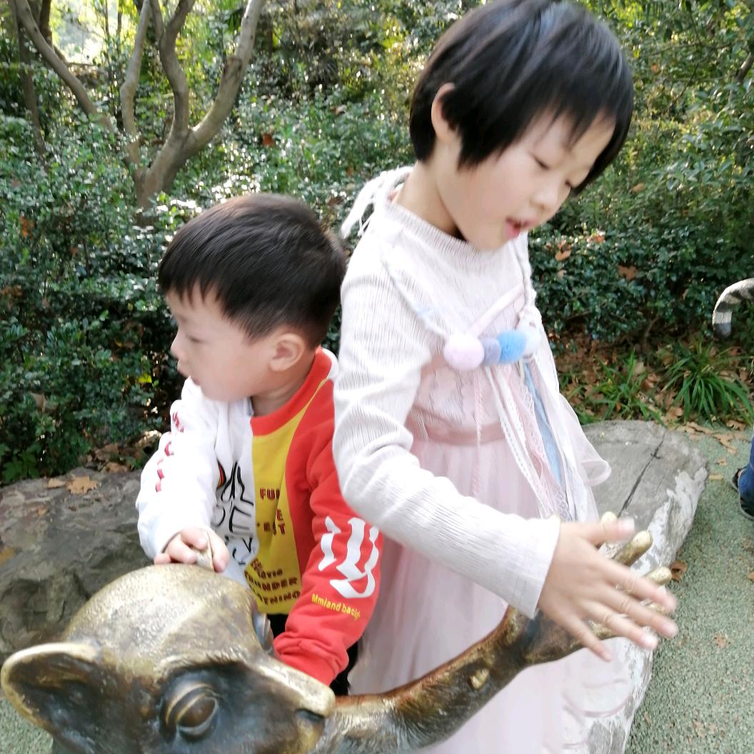 黄朝辉