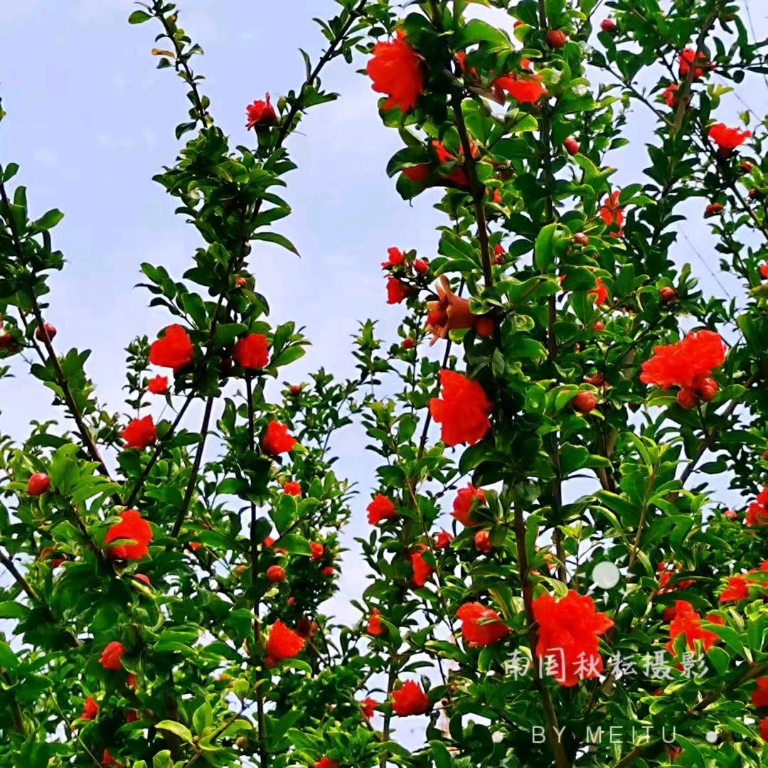 〈百善孝为先〉