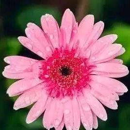 🌈大大胖小小胖