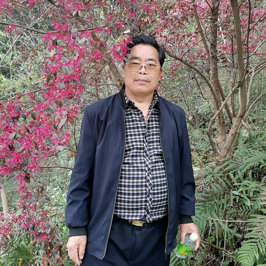 自由人生