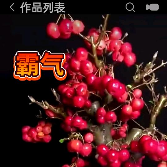 凯翔桩园