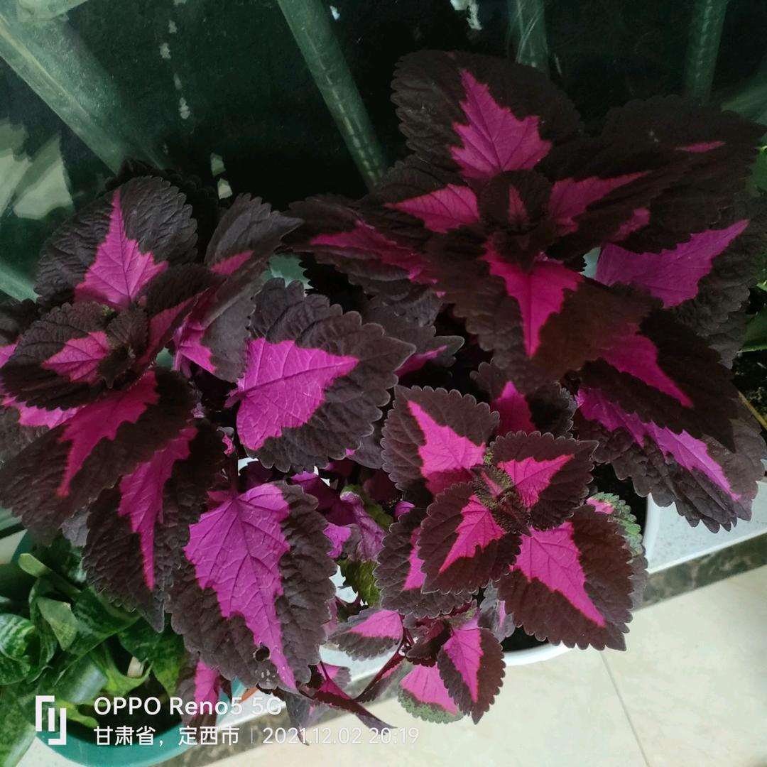 走到一起不容易