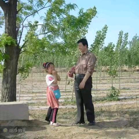 黄河旅游