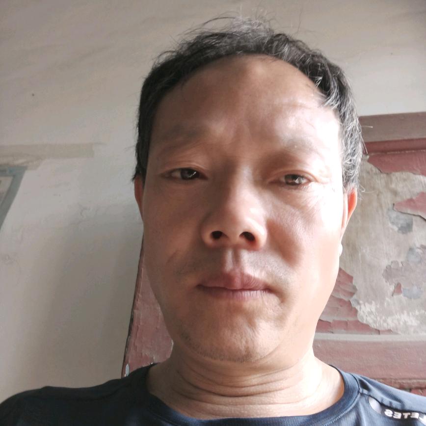叶子走丢了
