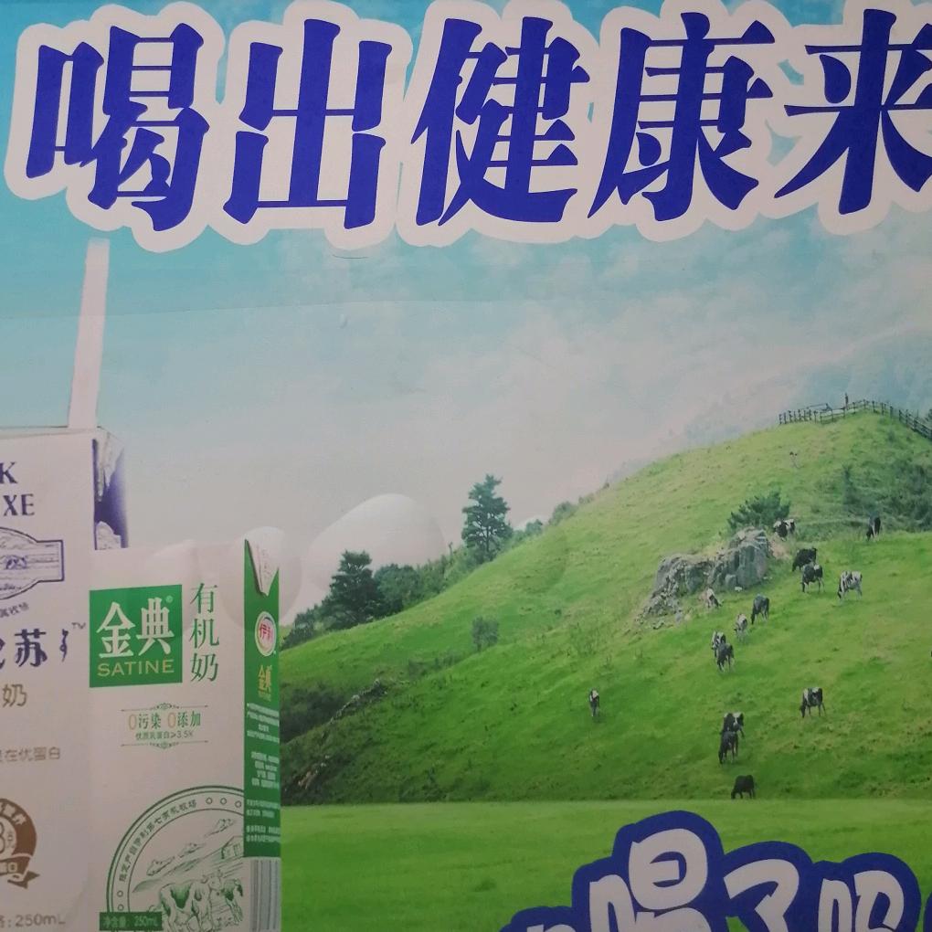 董林坡