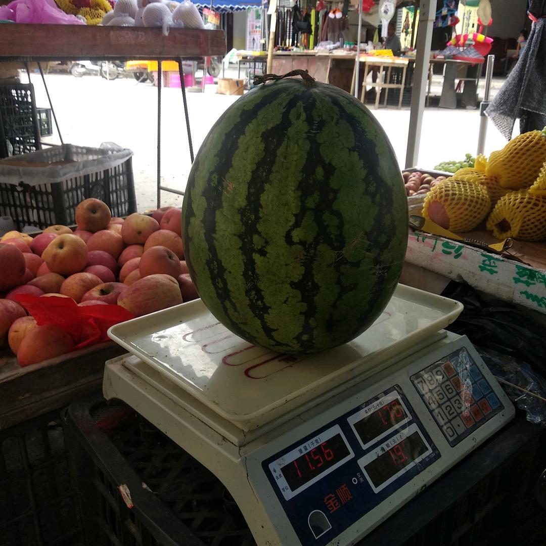 用户果果