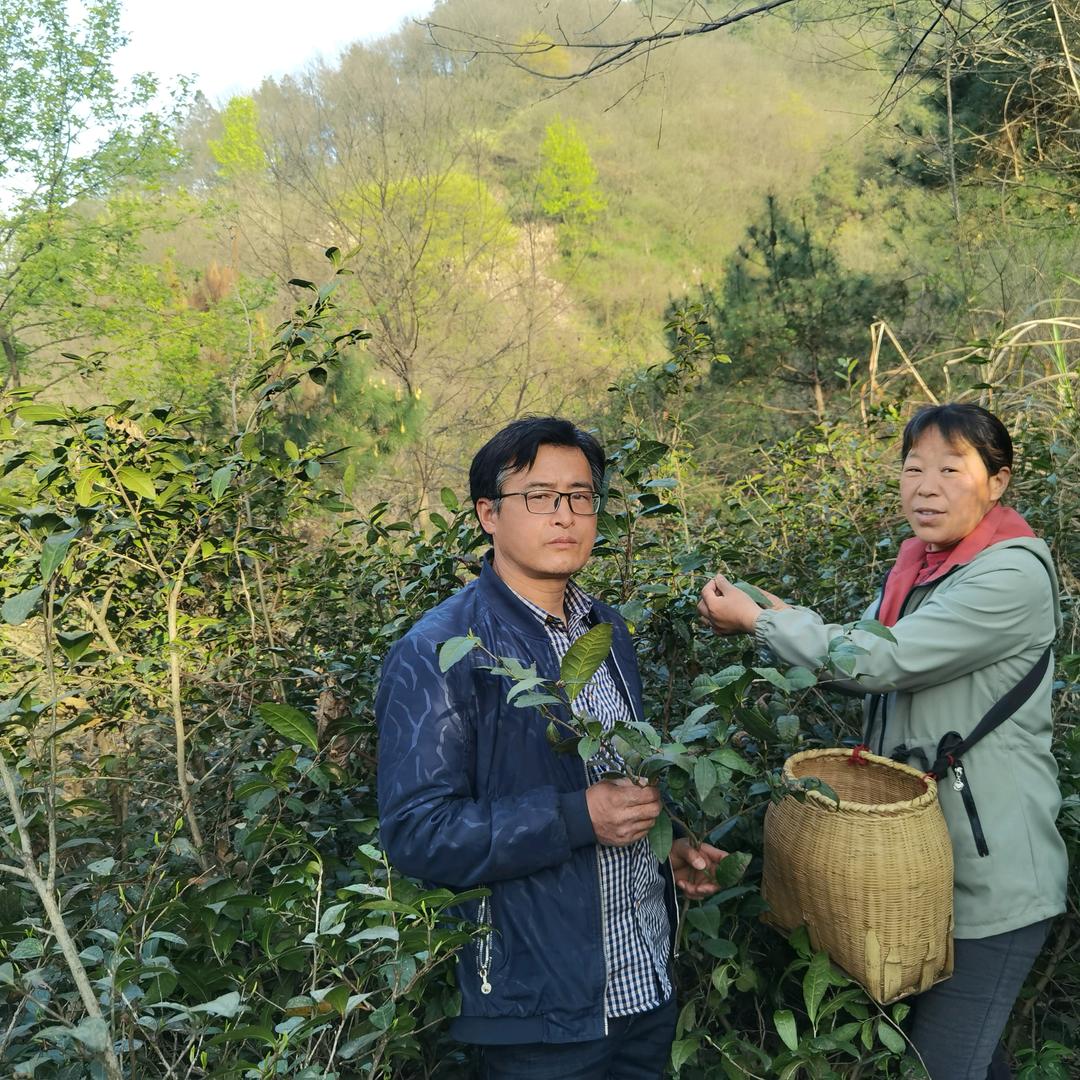 舒农朱大哥