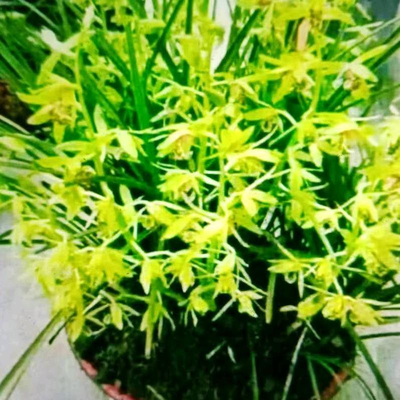 水瓶座