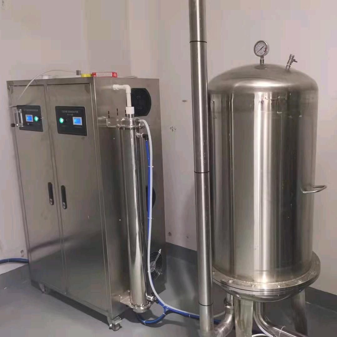 臭氧设备制氧机瑞锋电子