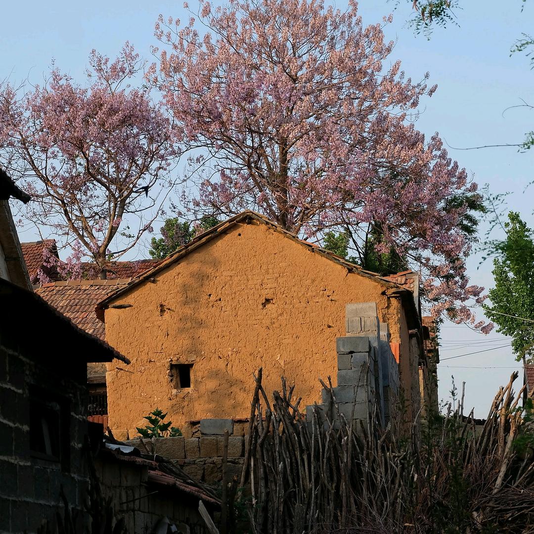 行走乡村
