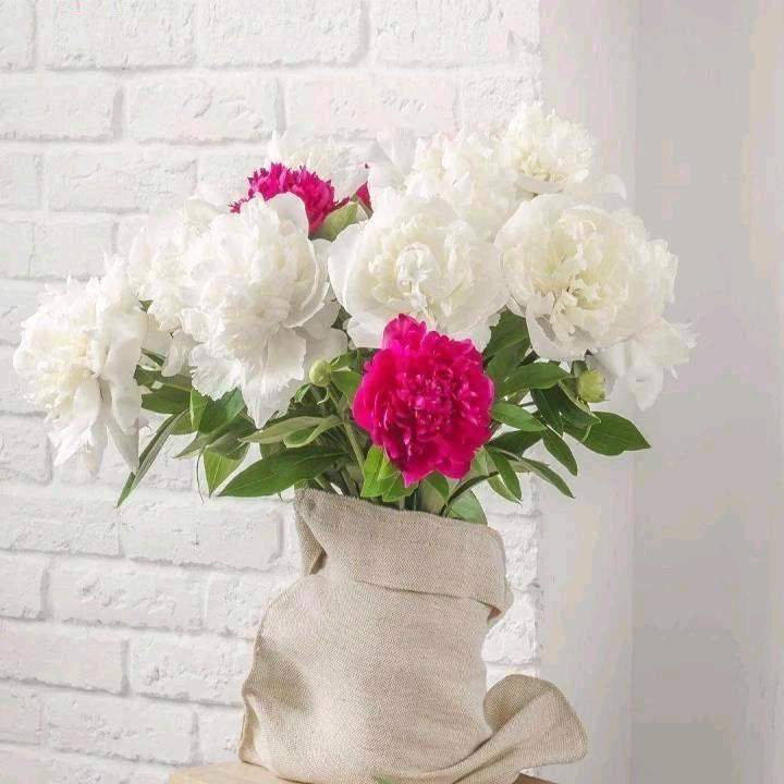 顺其自然 💋研（拒绝私聊）