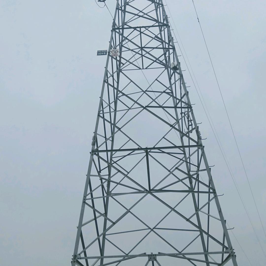 陶桓义