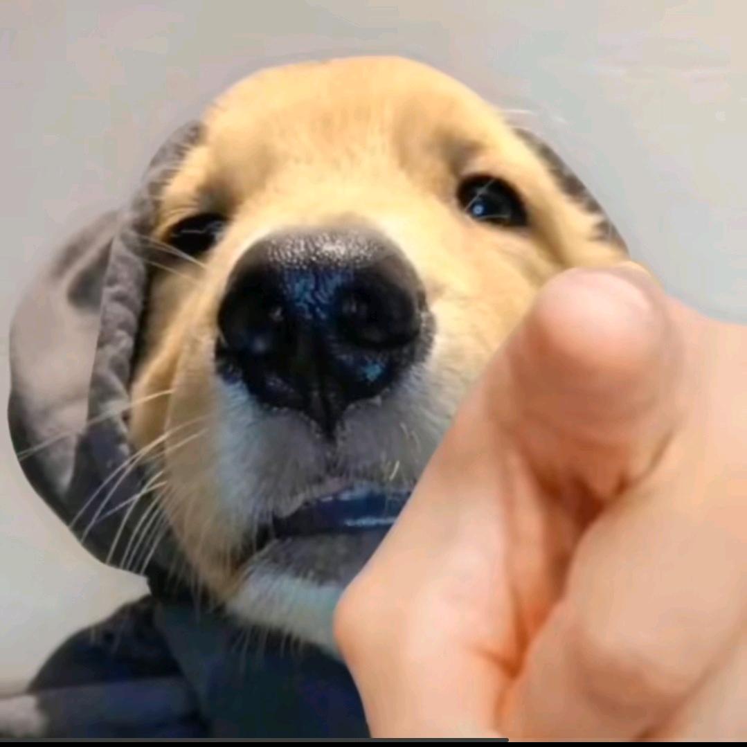 她也曾天真无邪