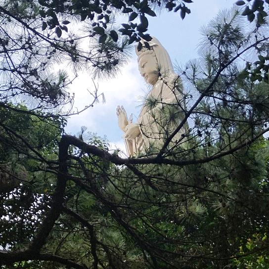 阿川