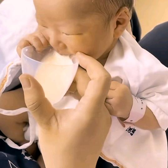 小米粒母婴育儿