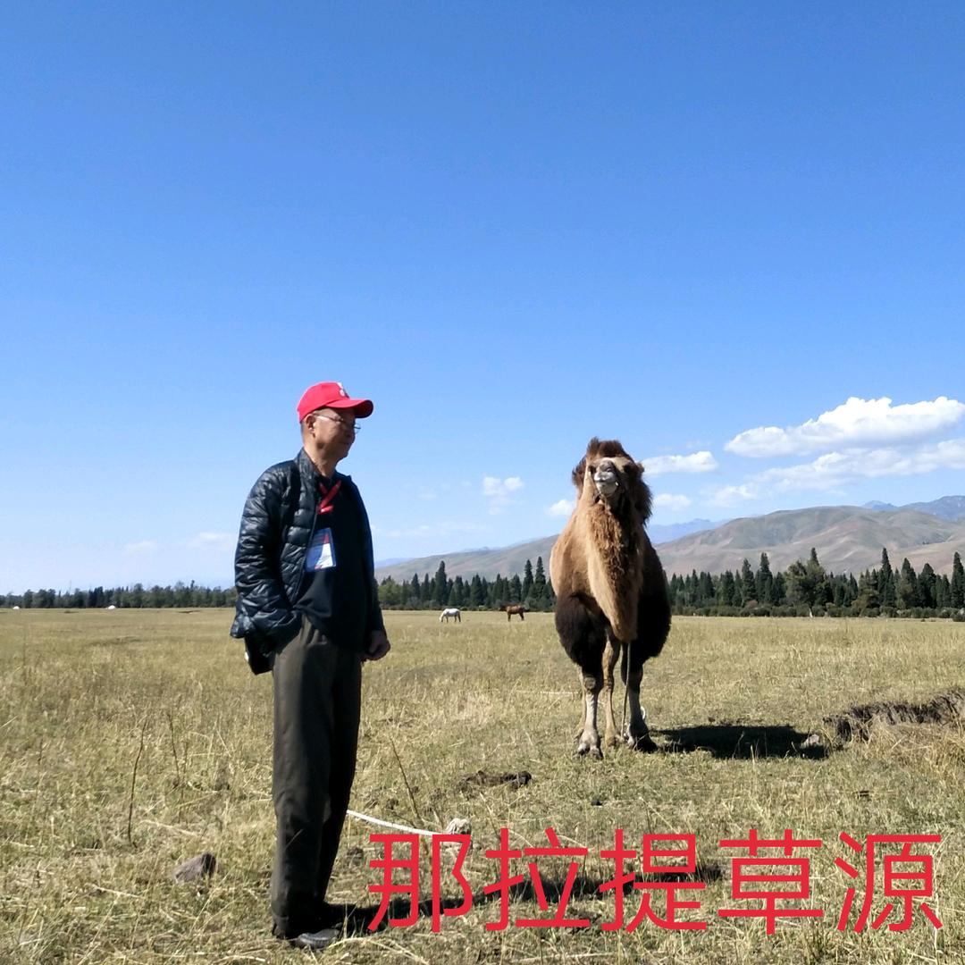 李德彬