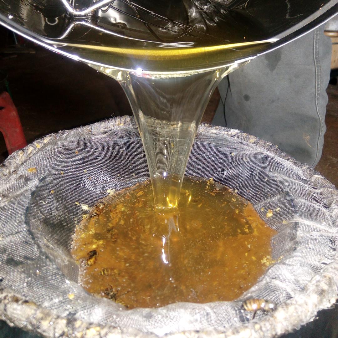 我的宝贝与你分享