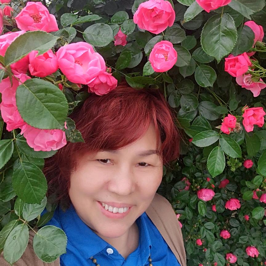 应莲莲
