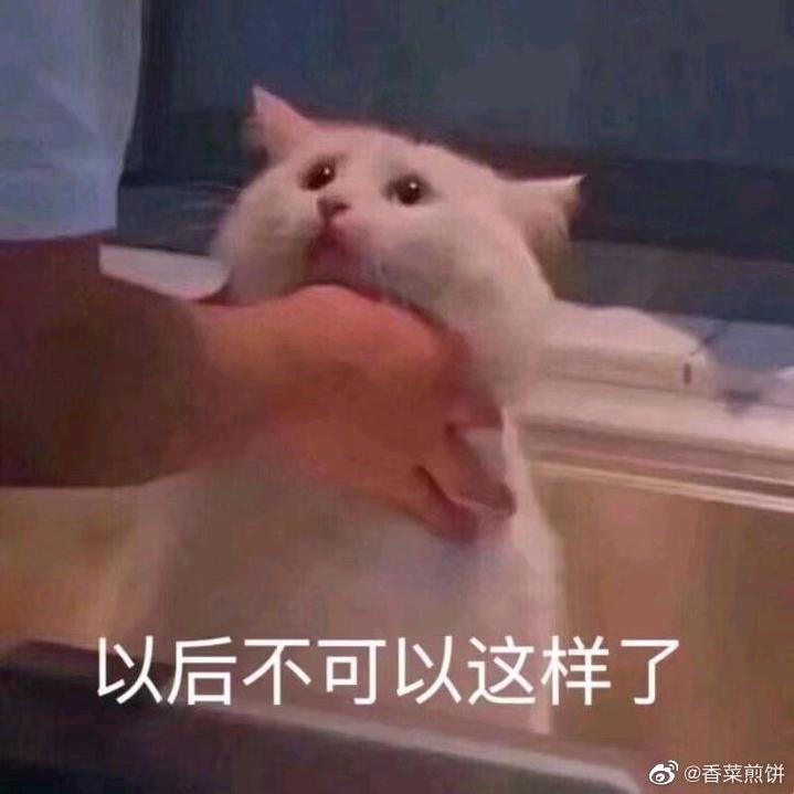 小乖不乖