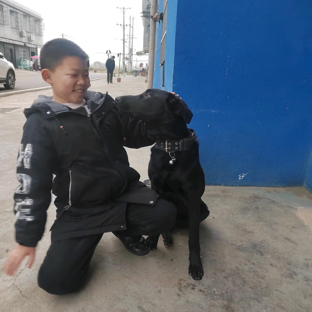 漂泊过客