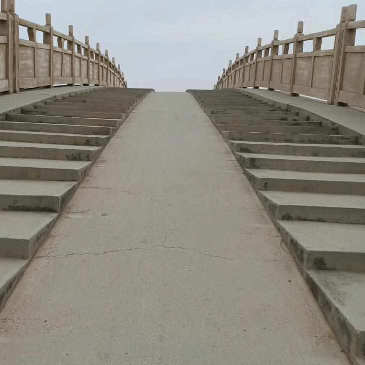 追寻阳光的脚步