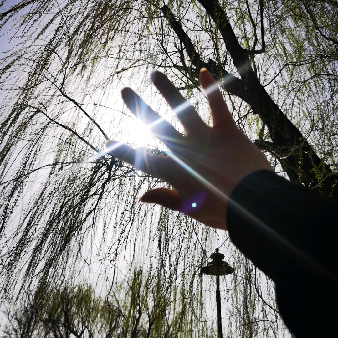 智在必德   德行天下